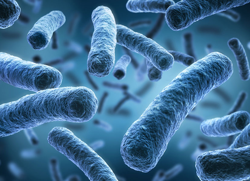 Reduce The Risk And Growth Of Legionella Bacteria