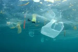 World Environment Day